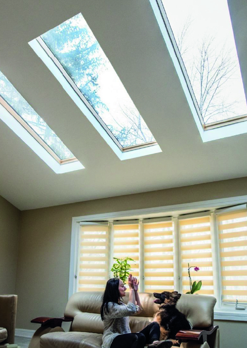skylight_2@0.5x-100